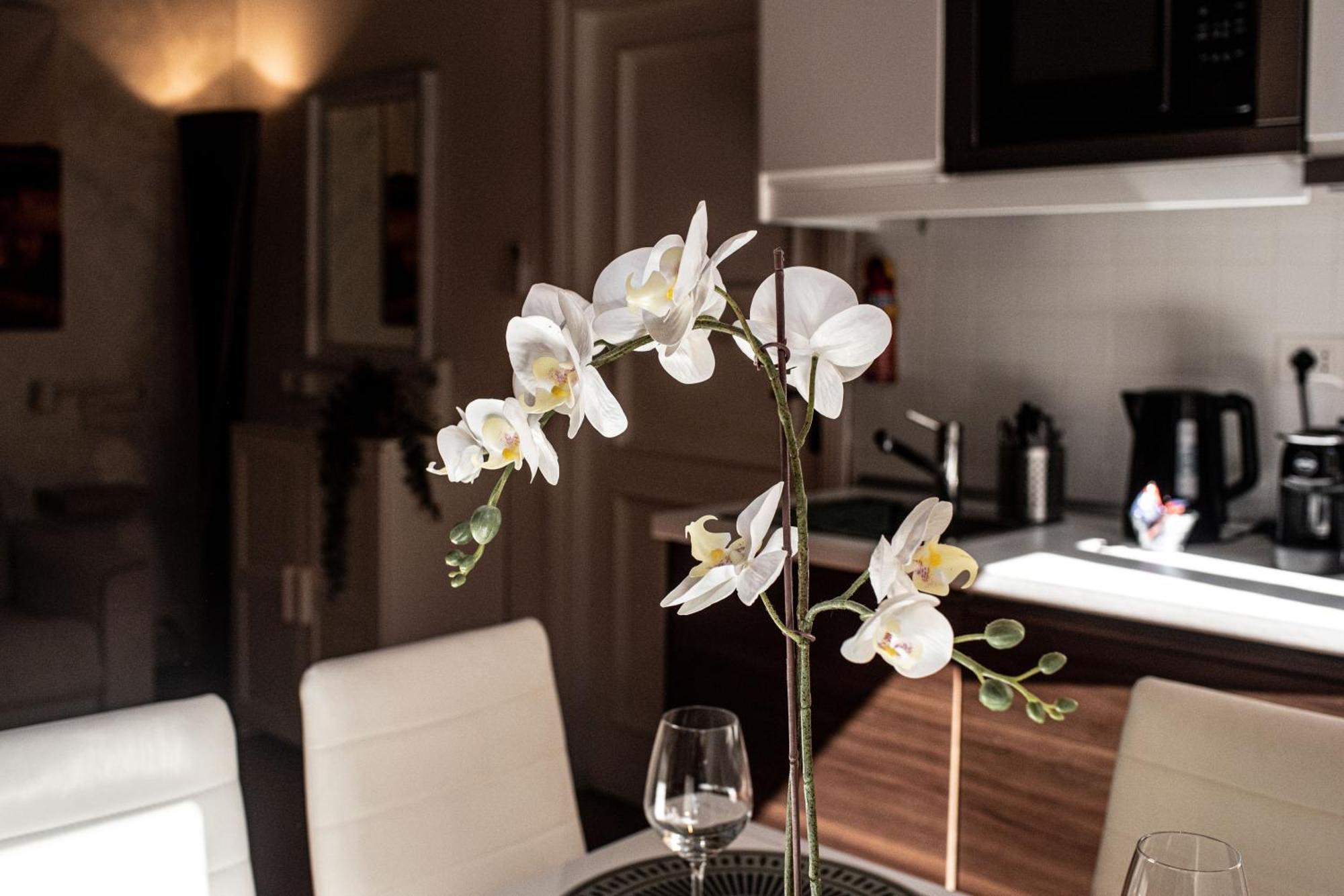 Spanish Steps Apartment & Terrace Rome Bagian luar foto